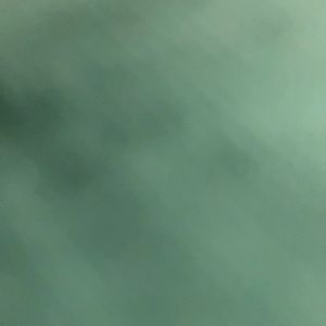 Meet your Posher, Abigail